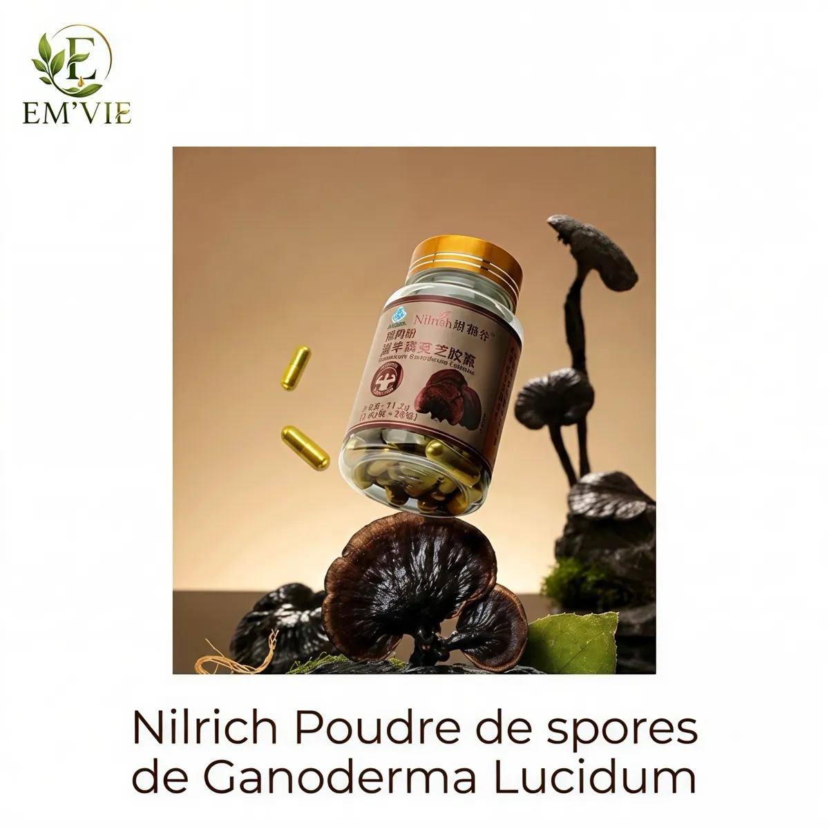 Nilrich Poudre de spores de Ganoderma Lucidum - miniature
